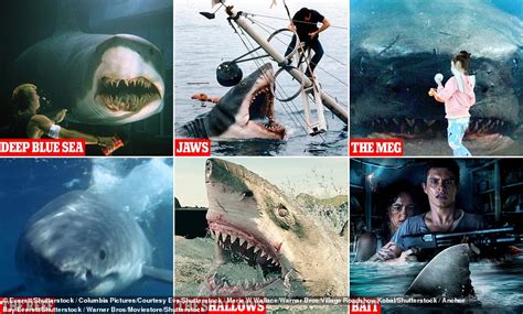 Jaws -  A Shark Thriller That Will Leave You Terrified and Amazed!